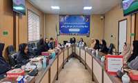 جلسه هم اندیشی پایگاههای برونسپار