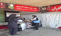 تضمین سلامت و صیانت از زائران در مسیر وداع و تشییع پیکر مطهر رهبر شهید انقلاب