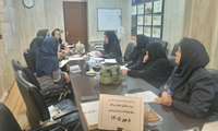 برگزاری جلسه تحلیل شاخص‌های طرح «آمایش امید» در شبکه بهداشت و درمان پردیس