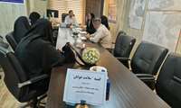 برگزاری کمیته ارتقای سلامت جوانان در شبکه بهداشت و درمان پردیس
