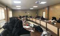 جلسه آموزشی مراقبین سلامت در خصوص برنامه آنفلوانزای فصلی،  کوروناویروس و آنفلوانزای پرندگان برگزارشد.